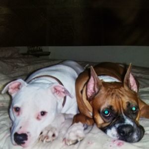 Meet your Posher, Karla